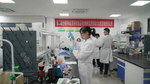 江西全省市場監(jiān)管系統(tǒng)食品安全抽檢監(jiān)測技能大比武活動圓滿落幕，信息技術(shù)咨詢服務(wù)助力監(jiān)管能力提升